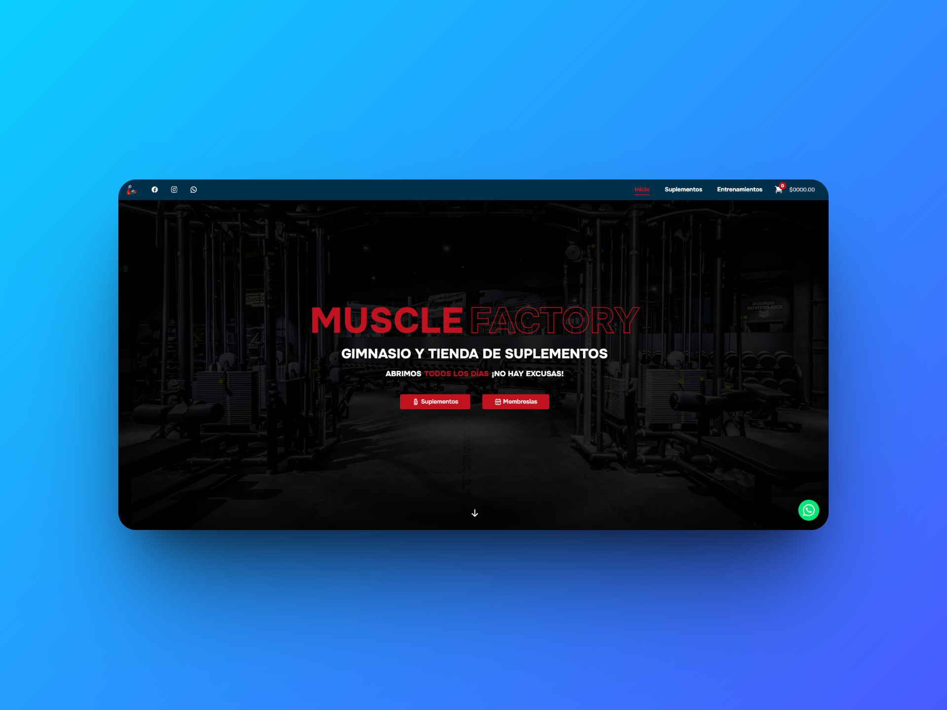 Muscle Factory Gym Website